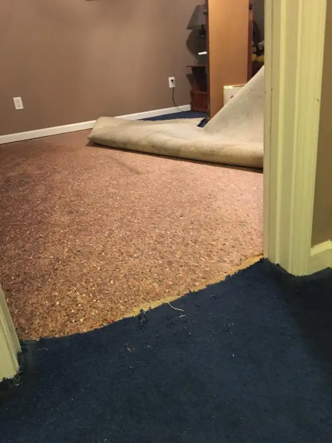 Carpet pad removal revealing water damage during Water Mitigation Services in Hardeeville