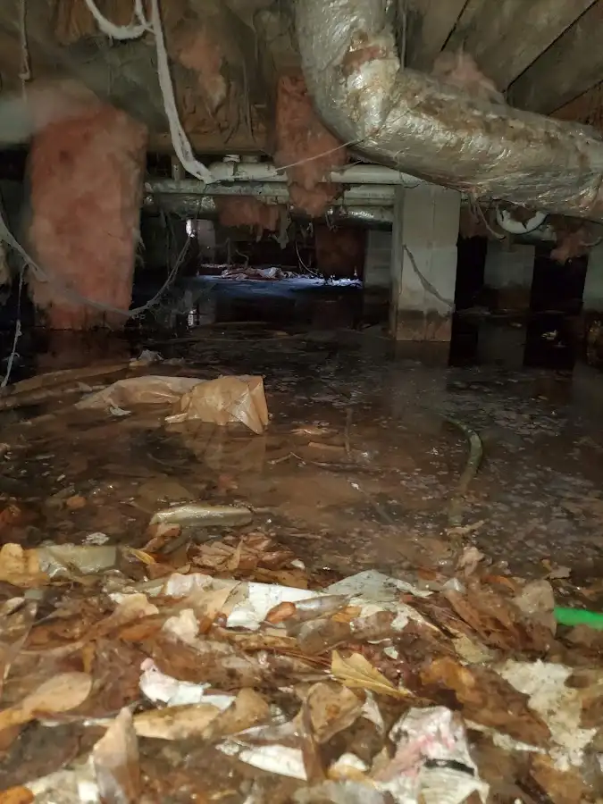 Crawl space flood assessment for Commercial Water Damage Restoration in Hardeeville