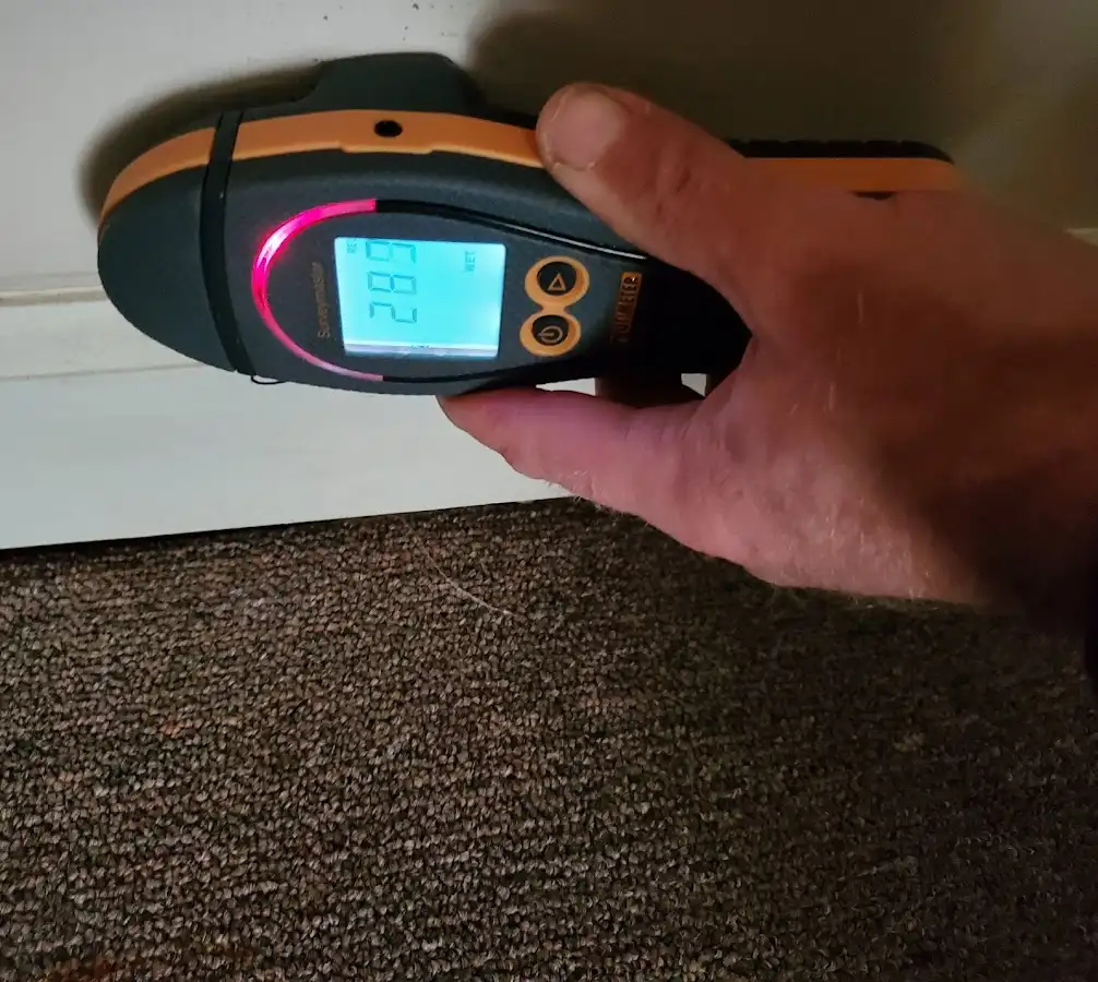 Moisture detection at baseboard during Sewage Cleanup & Sanitation in Hardeeville